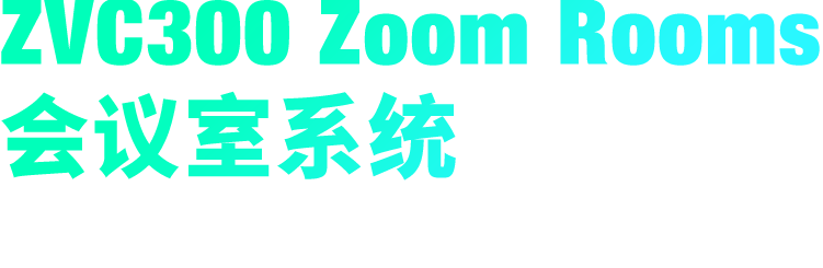 ZVC300 Zoom Rooms ۻϵͳ