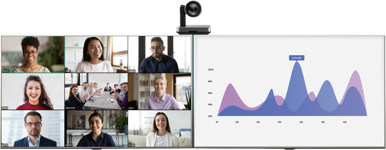 MeetingEye 800ۻ