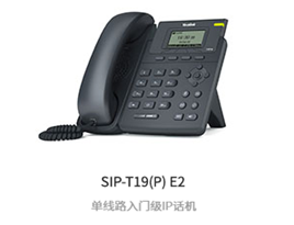 ٷSIP-T19
